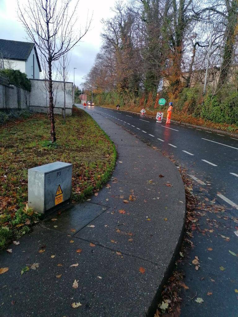 Street with trees, leaves, electrical box, traffic cones and road work signs